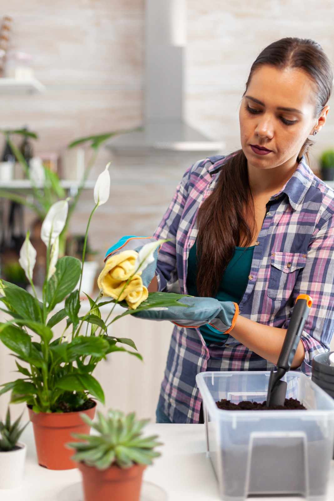 Cleaning Services Al Nahda